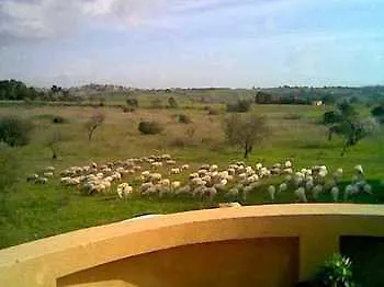 Con Vista